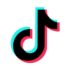 TikTok Video Views